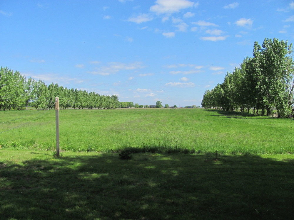 Countryside Bed & Breakfast Niagara-on-the-Lake Екстериор снимка